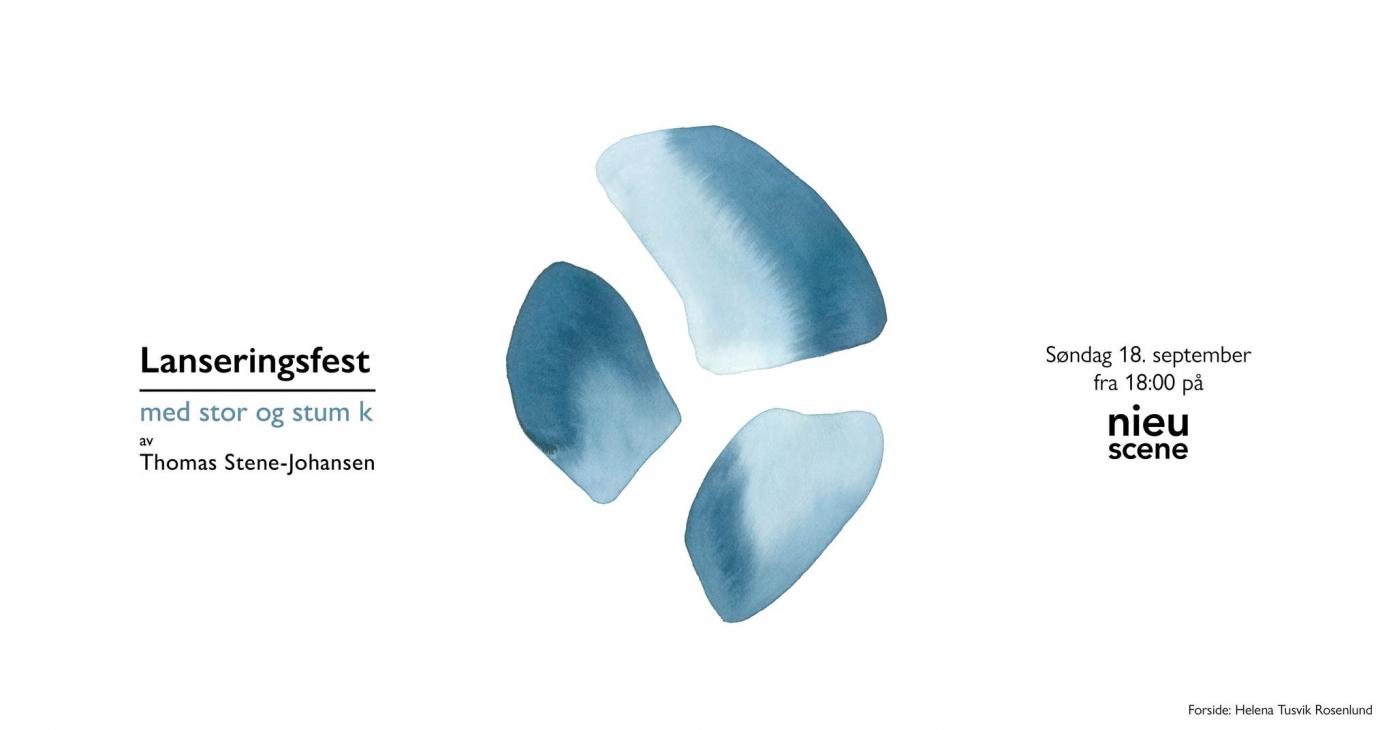 Lanseringsfest - med stor og stum k